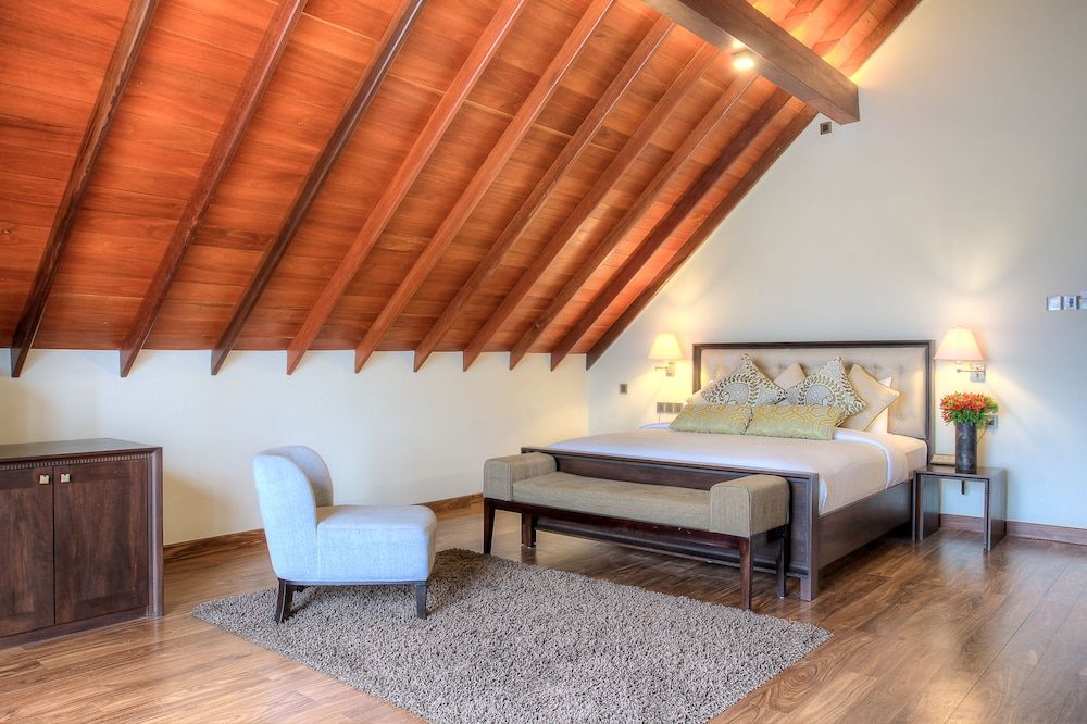 undefined Tea Plant Nuwara Eliya 2