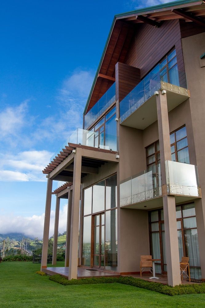 undefined Tea Plant Nuwara Eliya 7