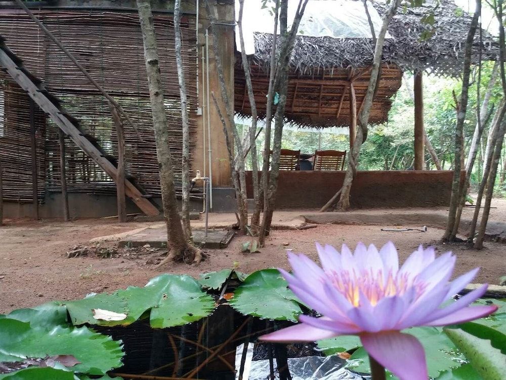 undefined Sigiri Wilderness Resort 2