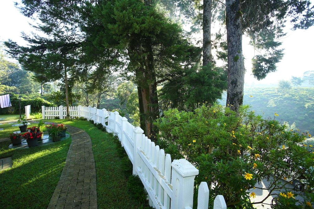 undefined The Firs 7