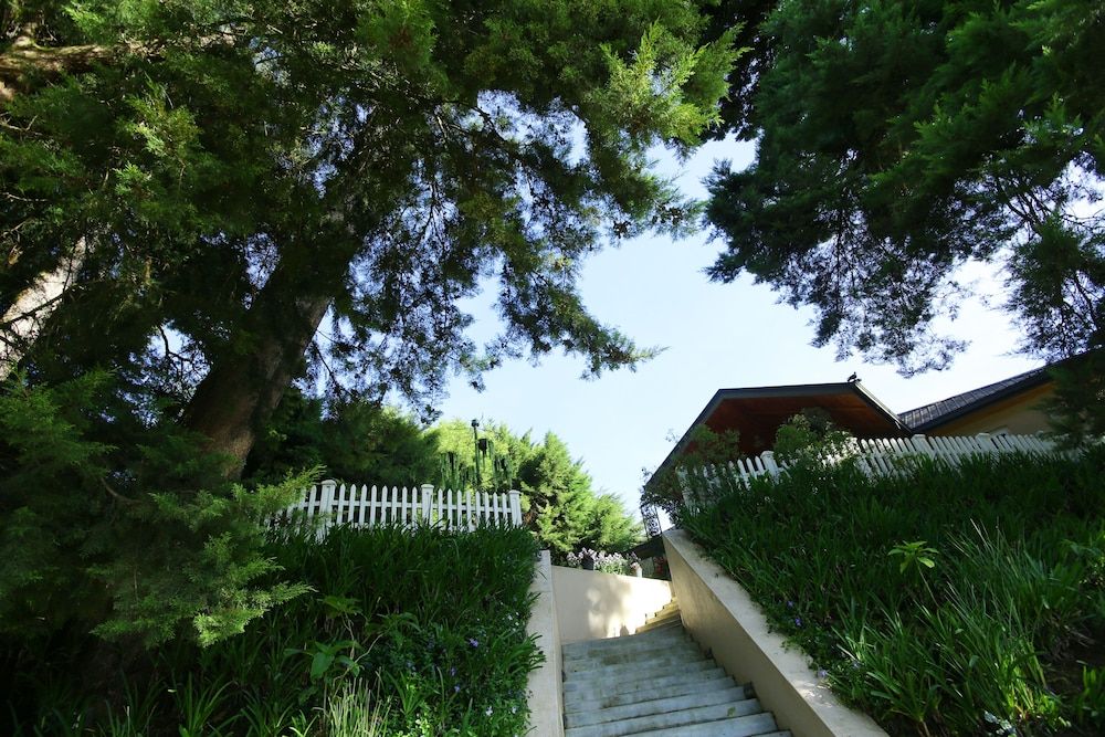 undefined The Firs 10