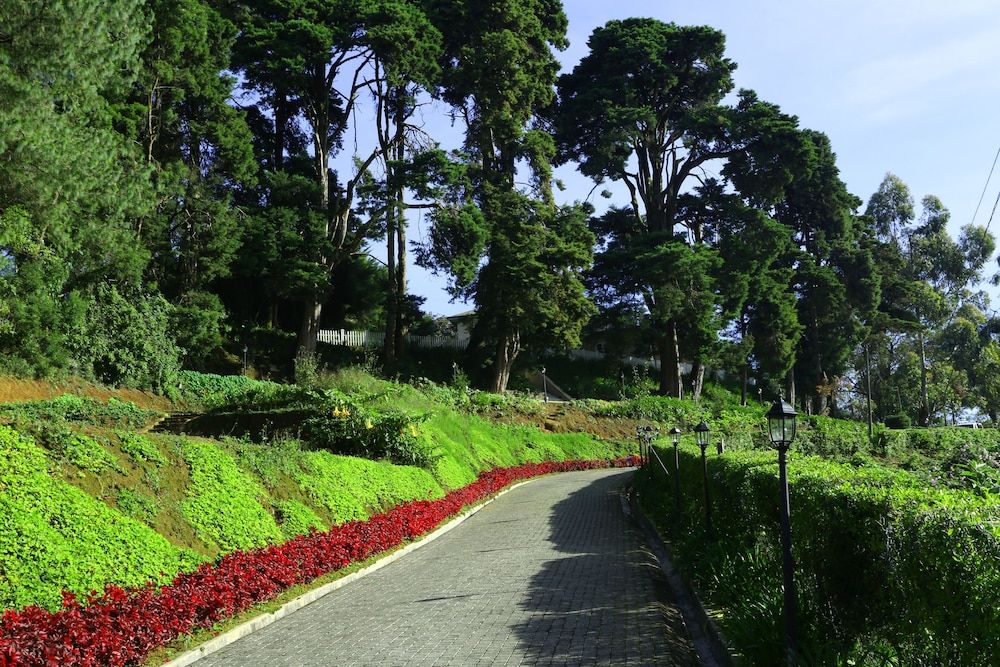 undefined The Firs 6