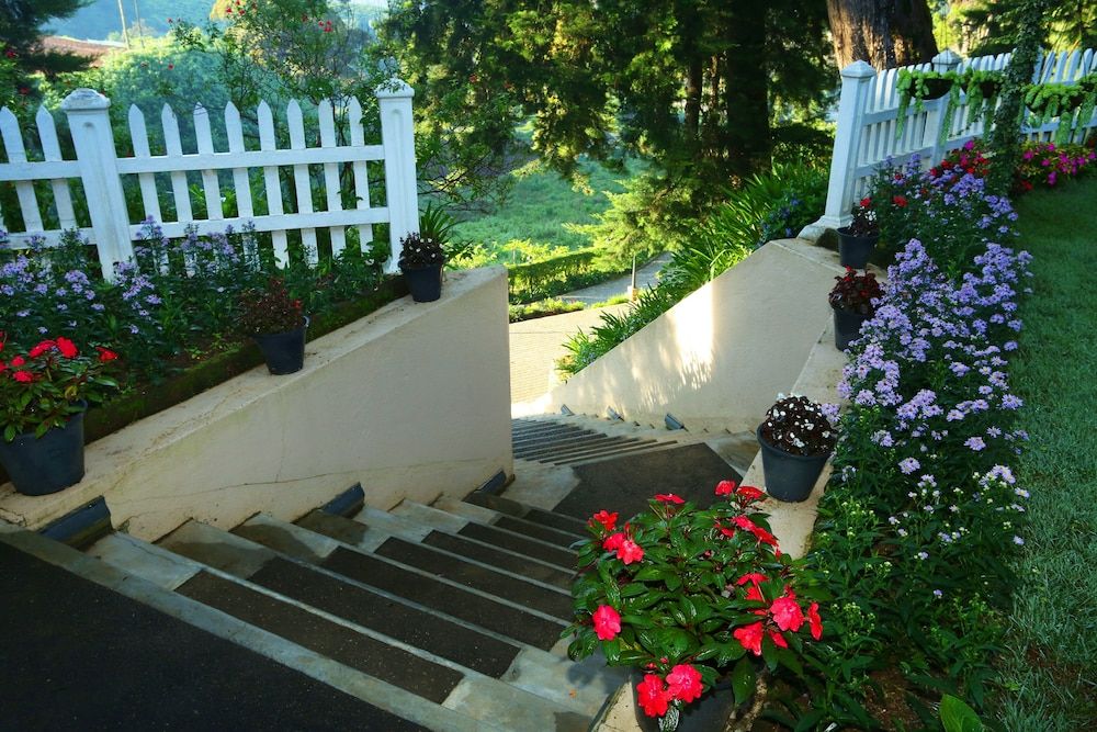 undefined The Firs 8