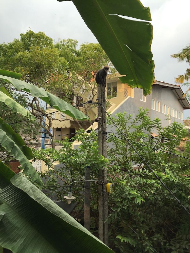 undefined Fort Heaven 7