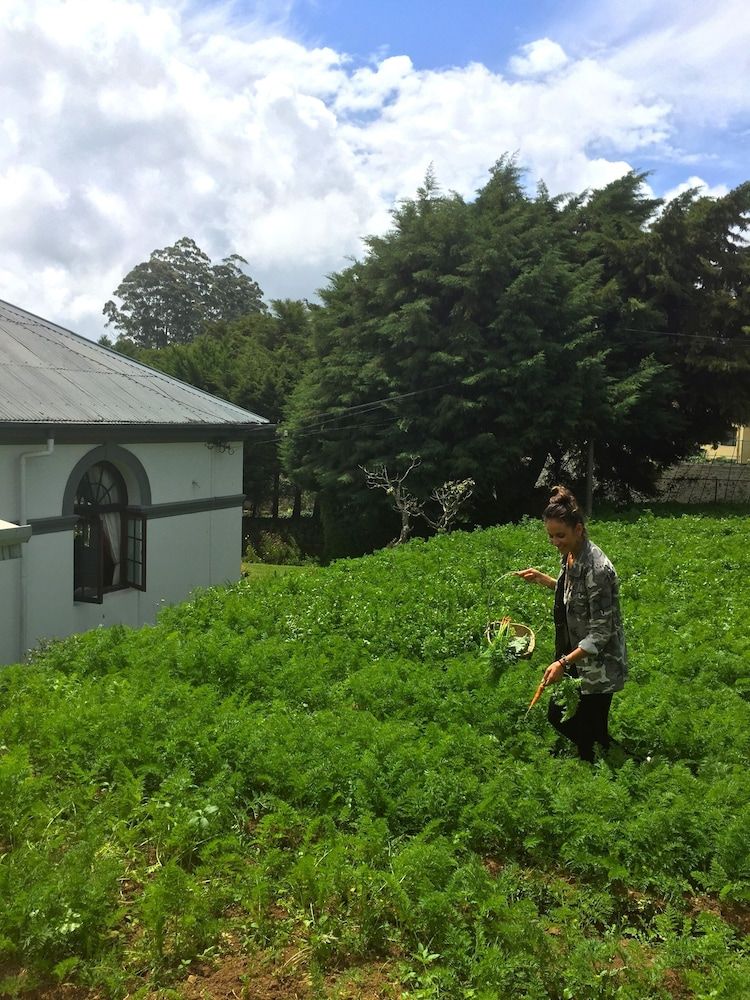 undefined Royal Cocoon 4