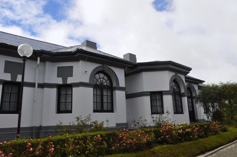 undefined Royal Cocoon 7