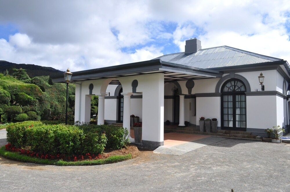 undefined Royal Cocoon 3