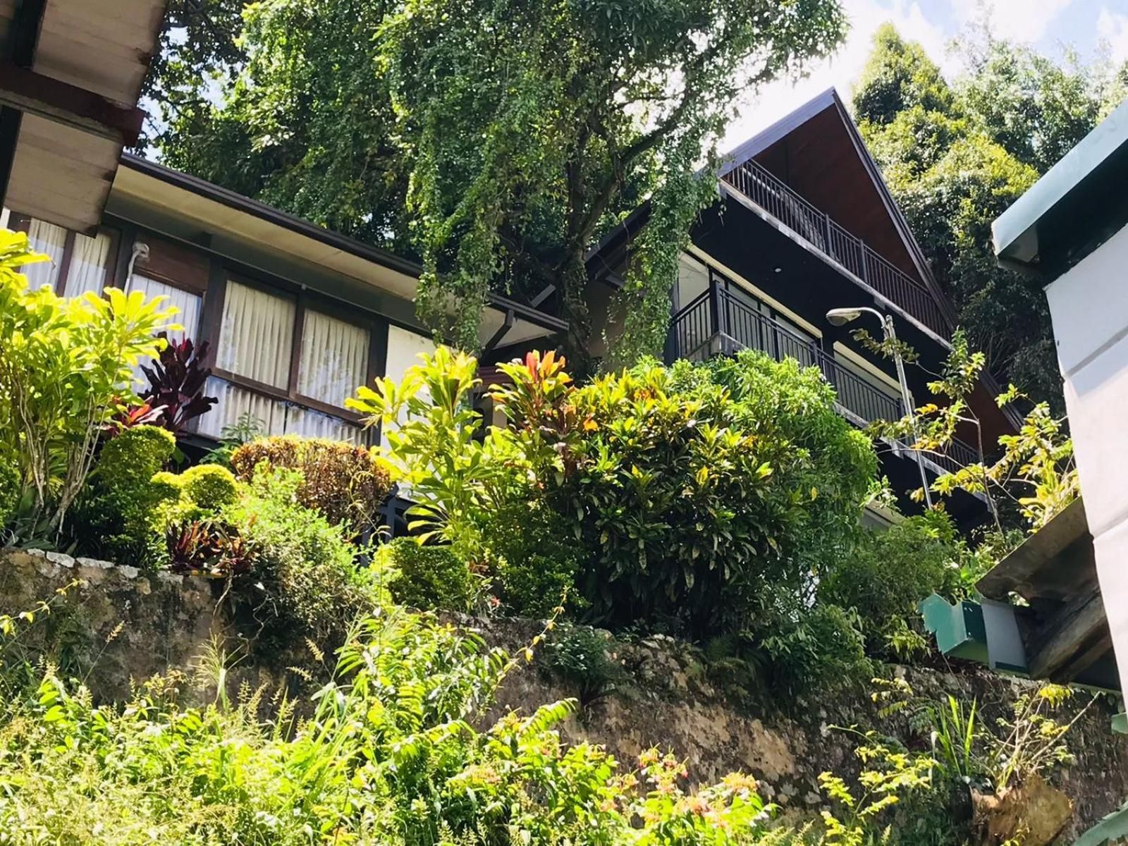 undefined Hotel Yo 5