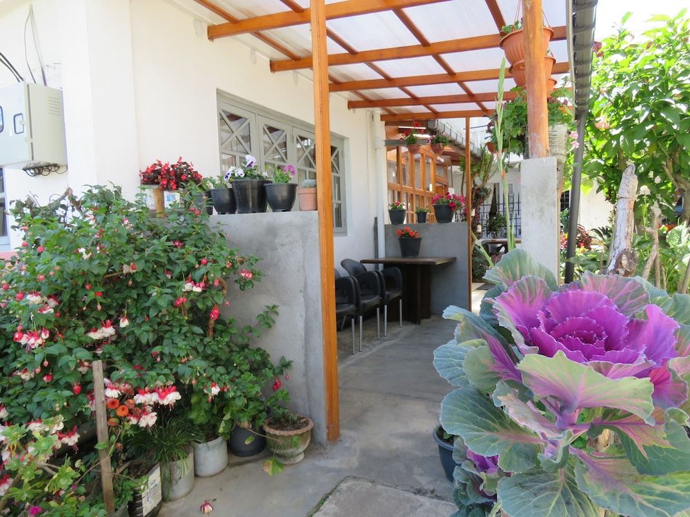 undefined Carnation Rest 6