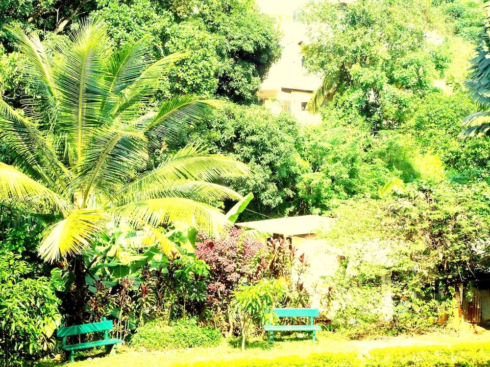 undefined Paradise Inn 3