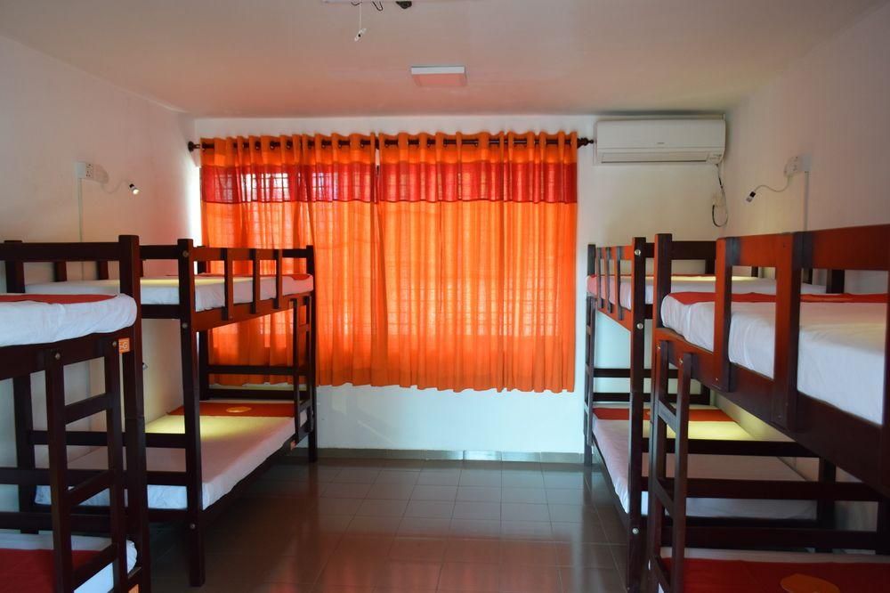 undefined Thambili Island at Stubbs - Hostel 8