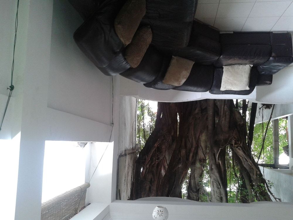 undefined Cinnamon Heights 5