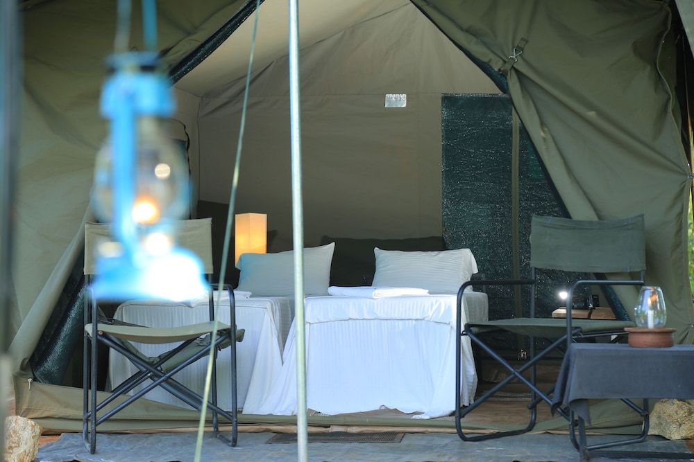 Big Game Yala by Eco Team Family Glamping bordering Yala with a Guided Safari 4