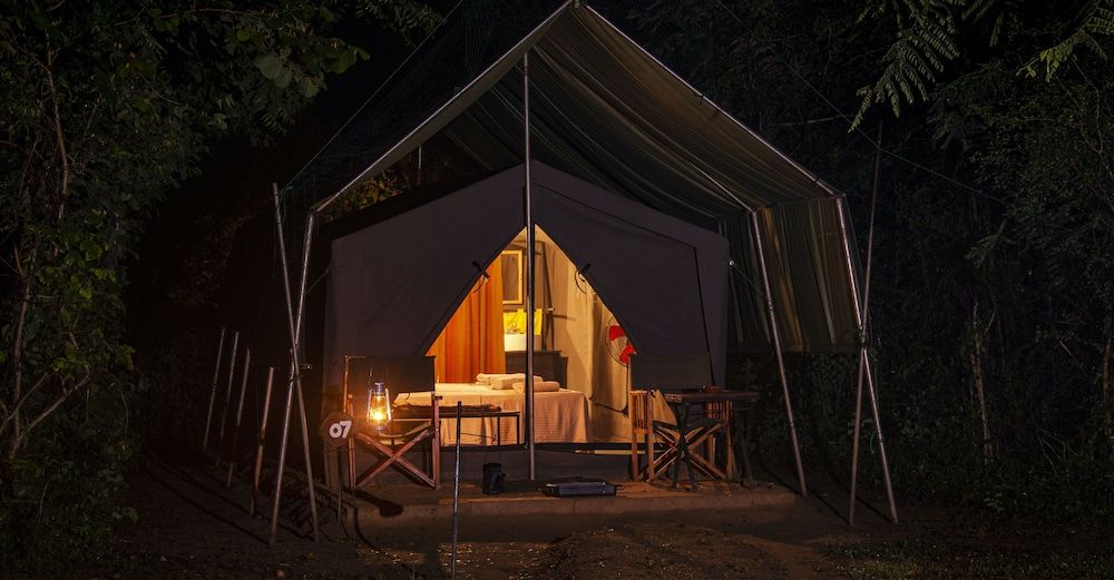 Big Game Yala by Eco Team Glamping bordering Yala with a Guided Bush Walk 4