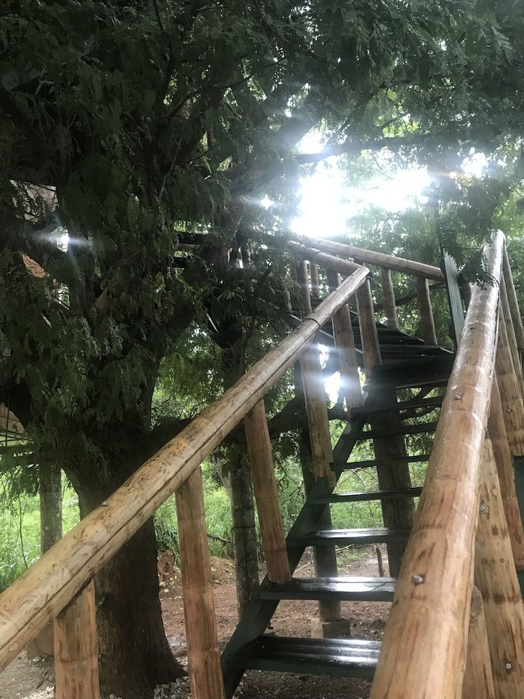 La Pentera Deluxe Tree House 5