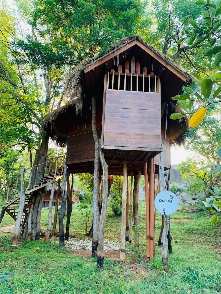 La Pentera Tree House 4