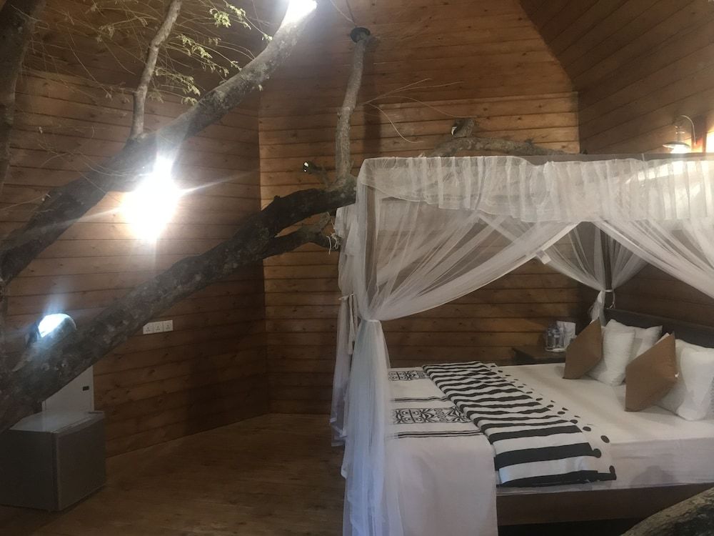 La Pentera Deluxe Tree House 2