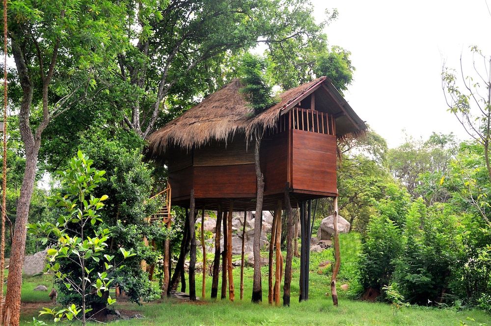 La Pentera Tree House 2