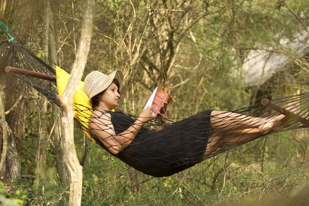 Big Game - Wilpattu by Eco Team Family Glamping bordering wilpattu with guided safari 3