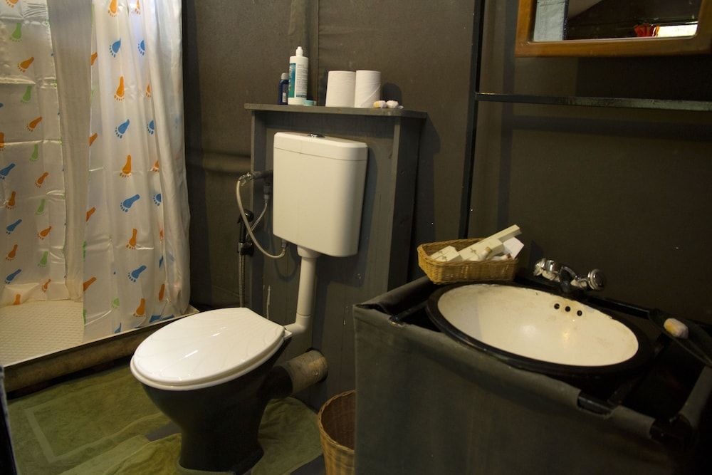 Big Game - Wilpattu by Eco Team Family Glamping bordering wilpattu with guided safari 5