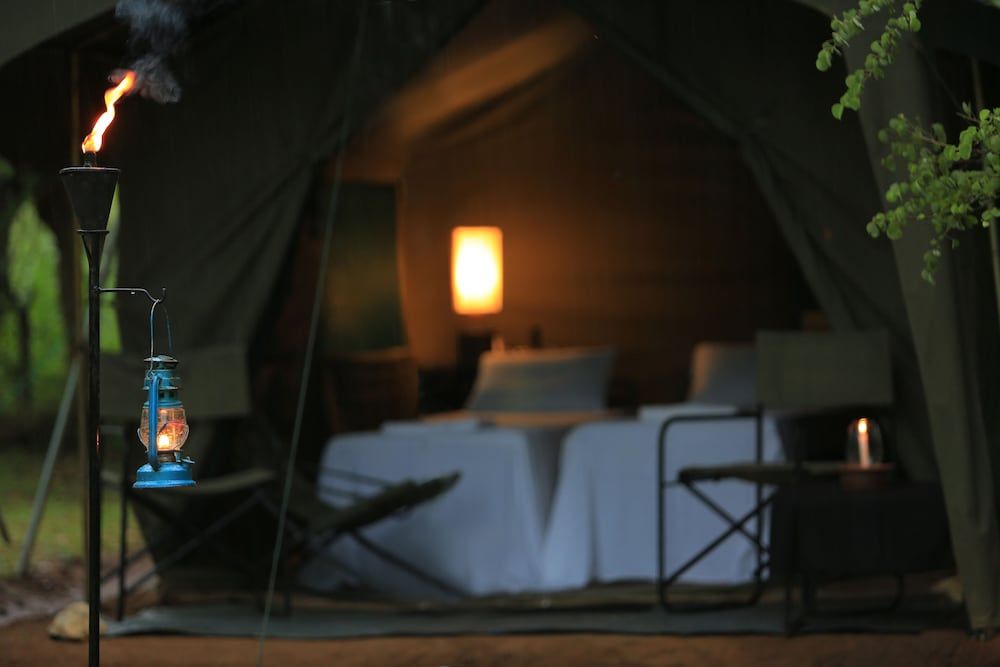 Big Game - Wilpattu by Eco Team Family Glamping bordering wilpattu with guided safari 7