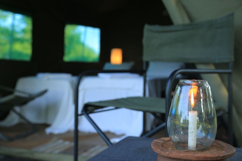 Big Game - Wilpattu by Eco Team Family Glamping bordering wilpattu with guided safari 8