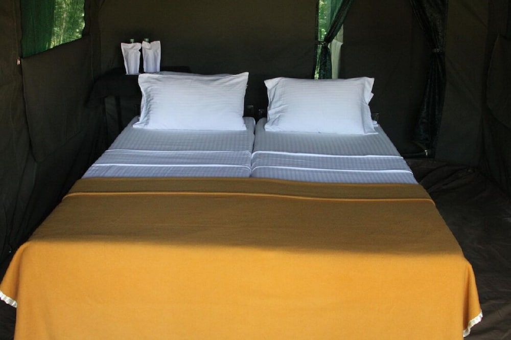 Big Game - Wilpattu by Eco Team Family Glamping bordering wilpattu with guided safari 2