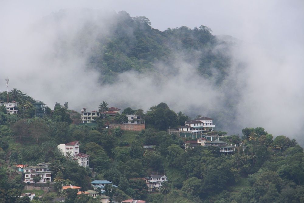 The Richmond House Grand Standard Room 6