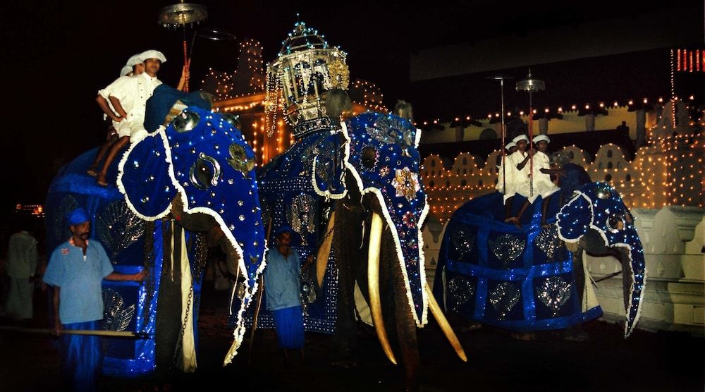 undefined Forest Villa Hotel 7