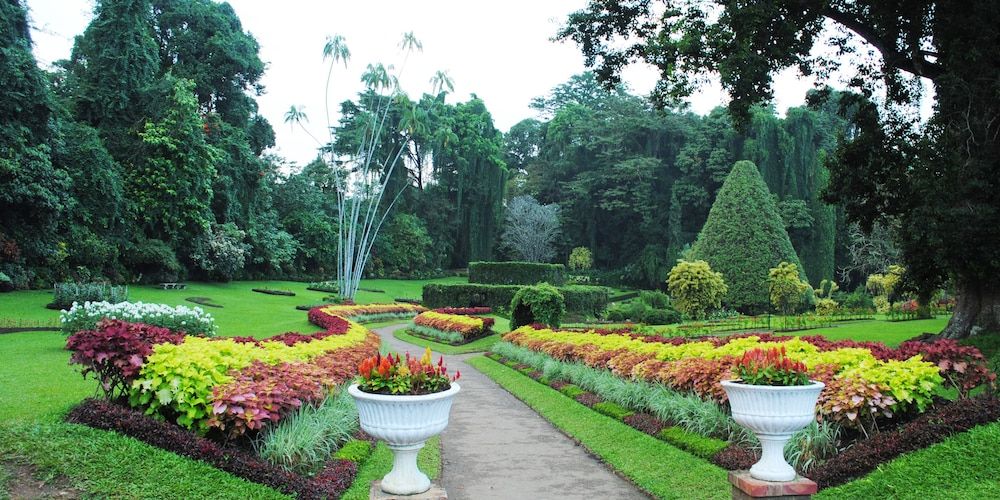 undefined Forest Villa Hotel 6