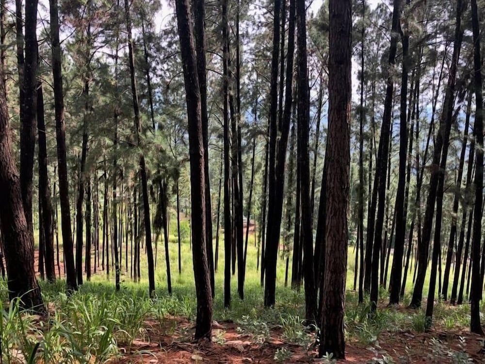 undefined Amandari Holiday Villa 3