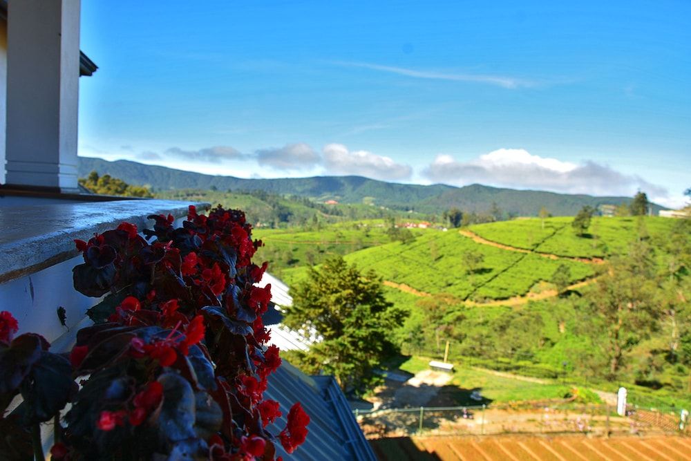 Villa Mount Royal Deluxe Double Room, Private Bathroom, Mountain View 9