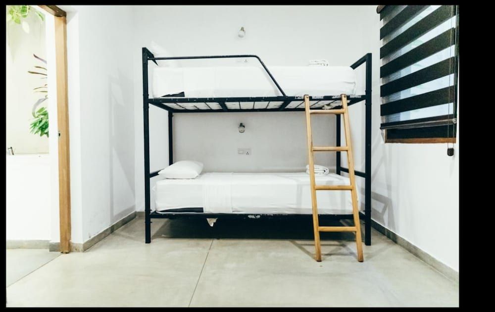 undefined Moss Colombo 6