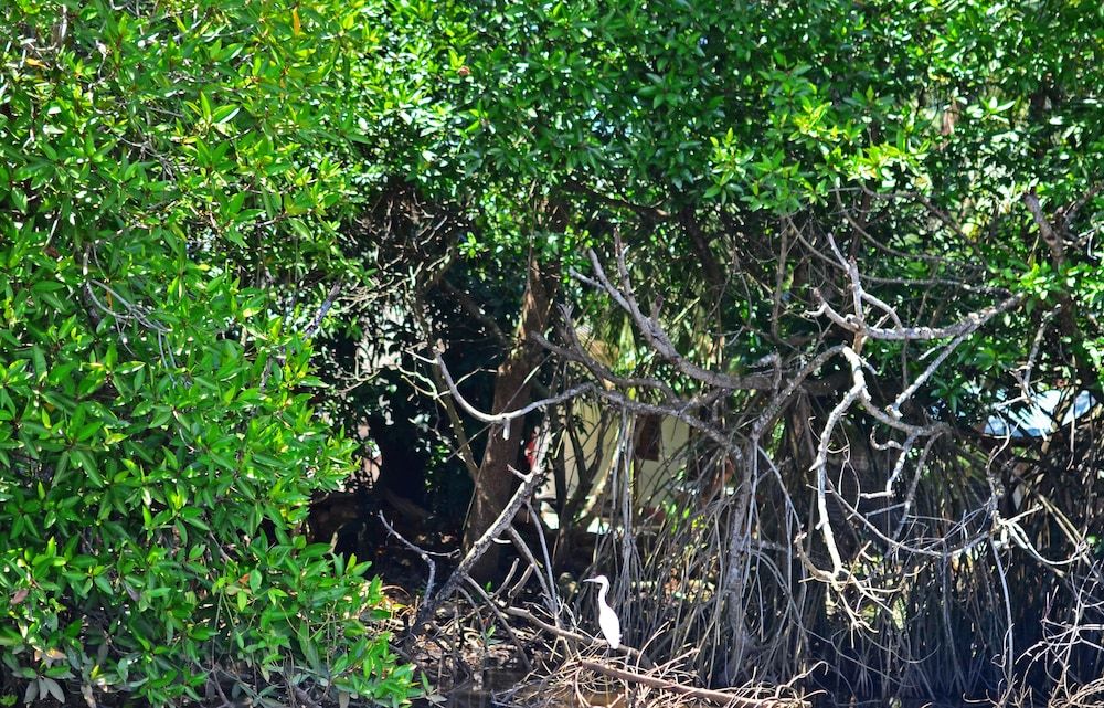 undefined Mihin Villa Bentota 5