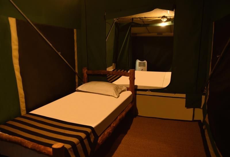 Tent - Forest Camp