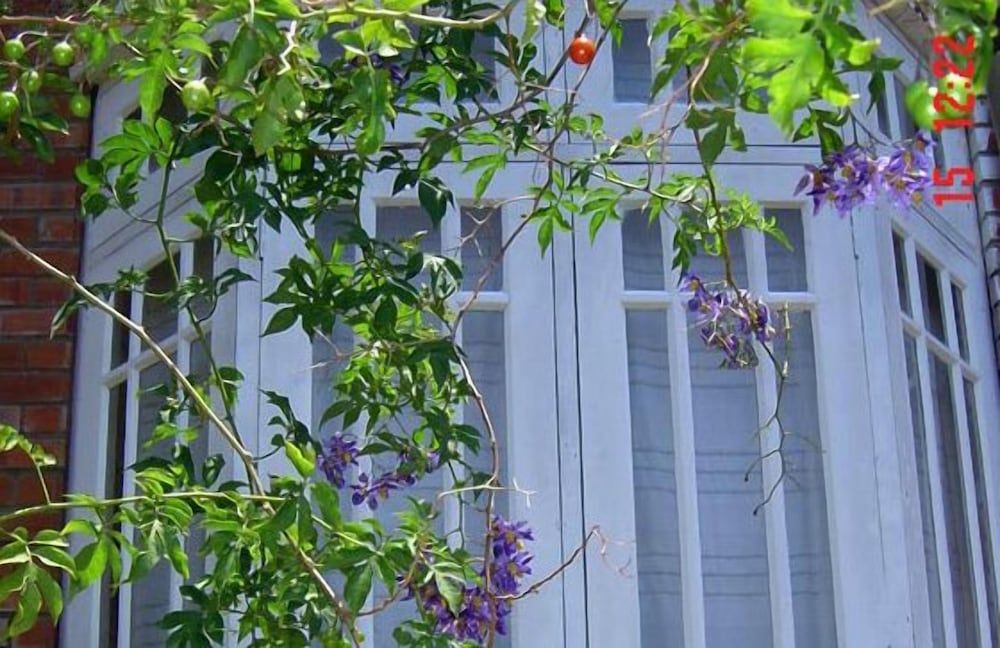 undefined Sandalwood 3