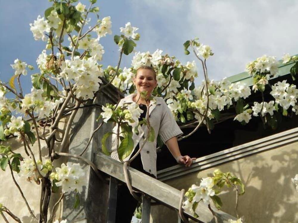 undefined Sandalwood 5