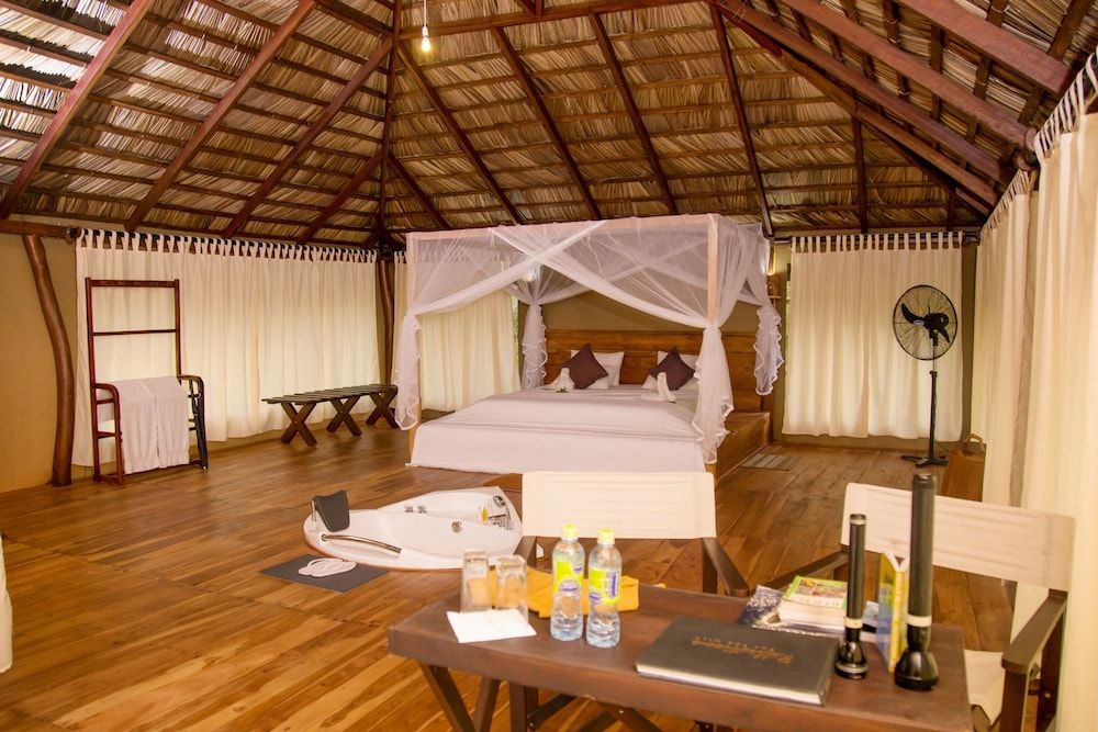 Yala Safari Camping Luxury Tent, Non Smoking 2