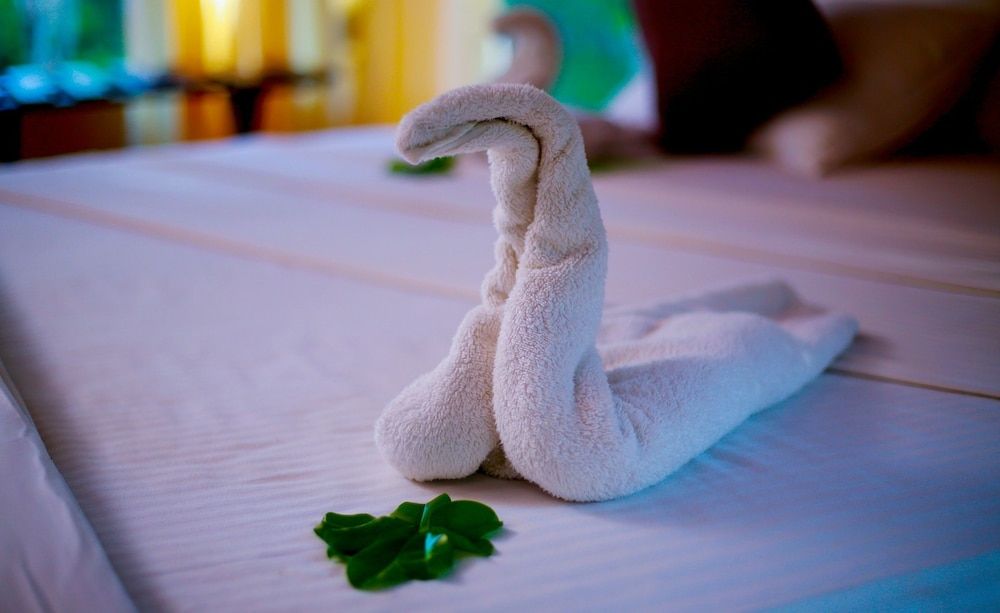 Yala Safari Camping Luxury Tent, Non Smoking 3