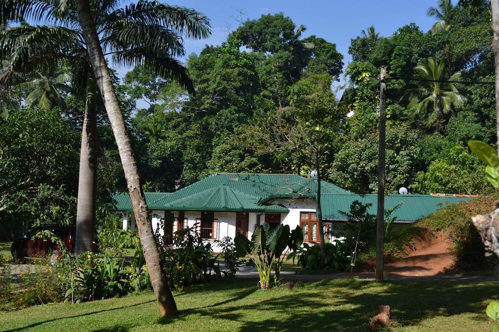 undefined Sweet Cinnamon Kandy 4