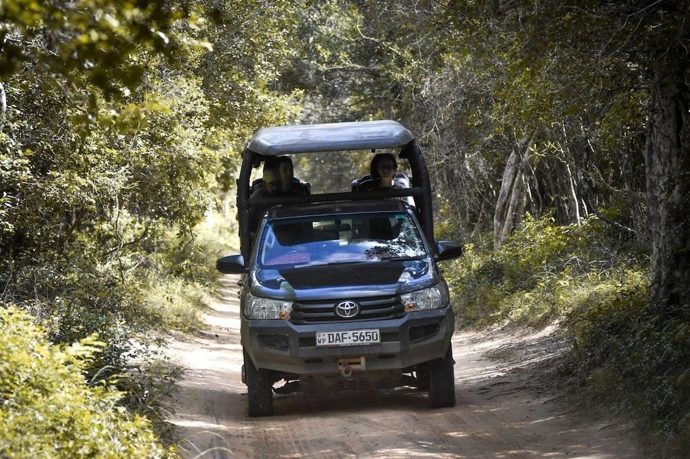 Mahoora - Yala by Eco Team Family Glamping Suite bordering Yala with a Guided Safari 4