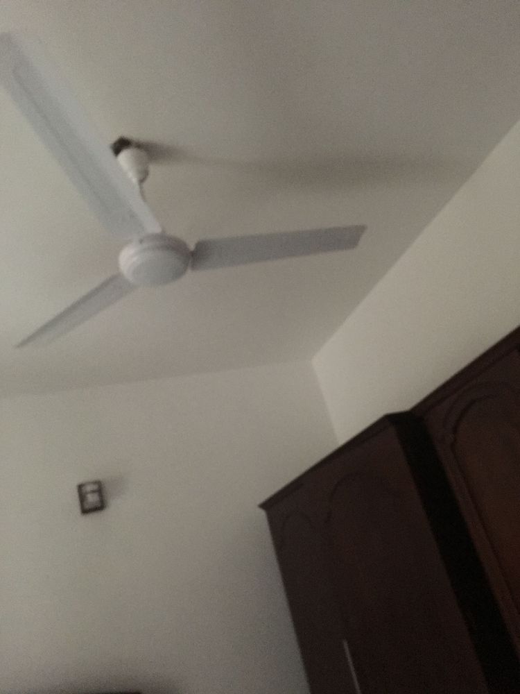 undefined White Avenue 10