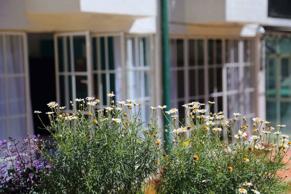 undefined Lemas Holiday Bungalow 9