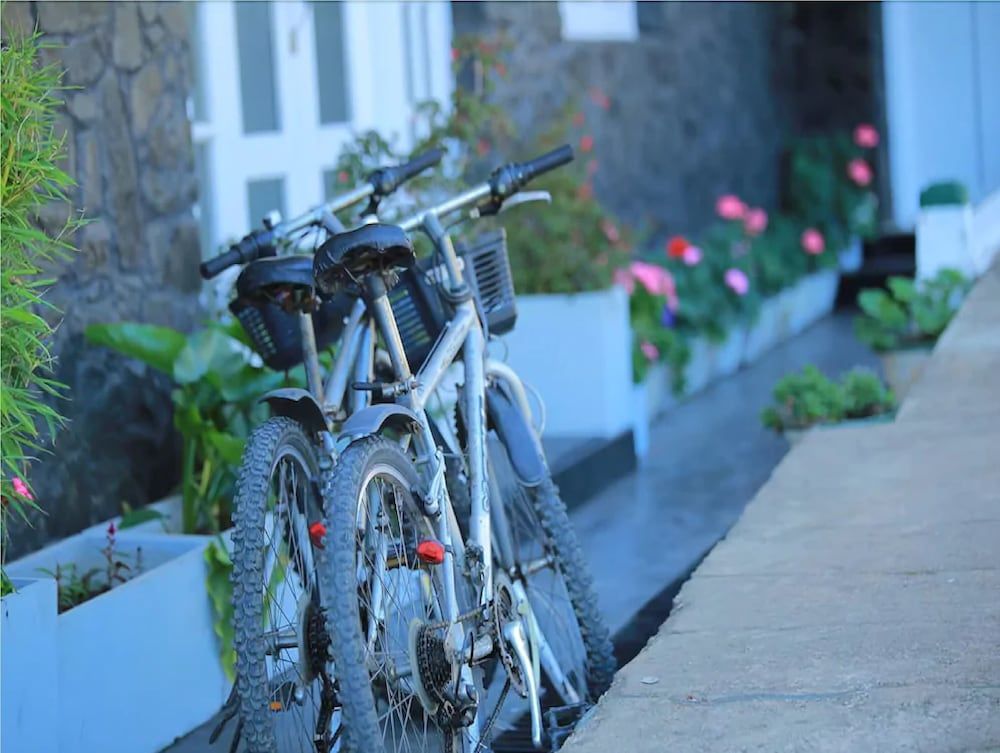 undefined The Rock Hotel 4