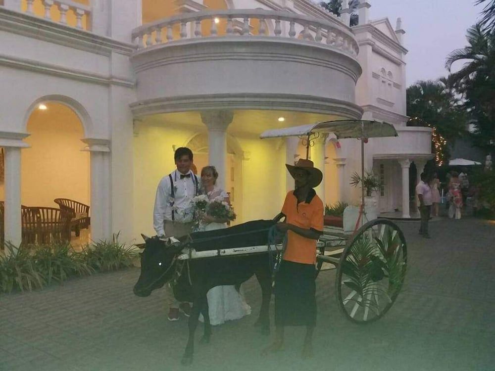 Outdoor Wedding Area