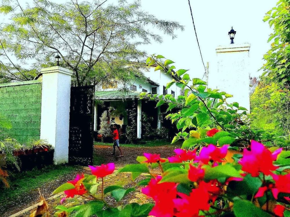 White Guest Deluxe Twin Room, Hill View, Garden Area 23