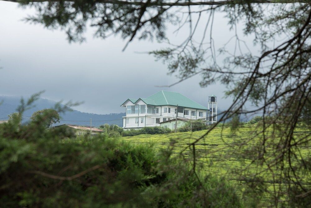 undefined Grand Camellia 2