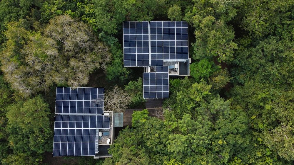 undefined Wild Grass Nature Resort 4