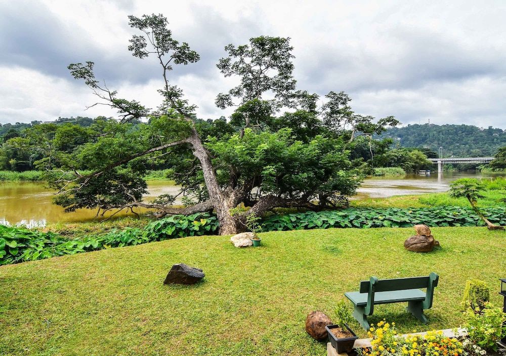 Thotupola Residence Grand Cottage, 1 Bedroom, Kitchen, Garden View 4