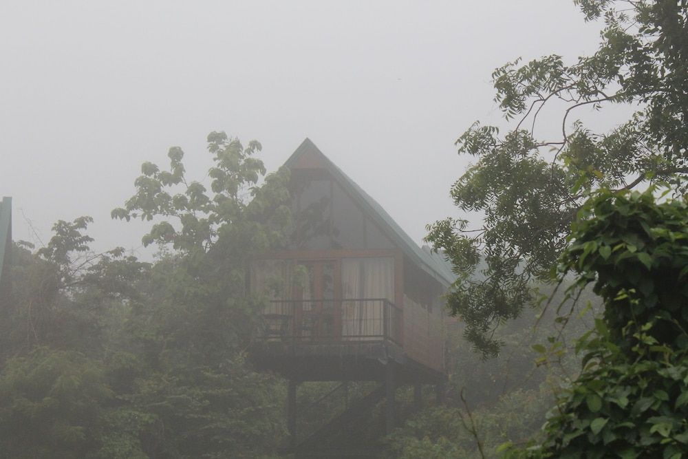 undefined Nice Place Bungalows 8